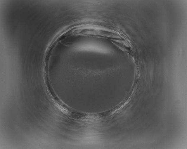 X0000074040101200609061218