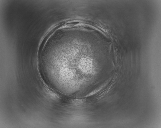 X0000074040102200609061218