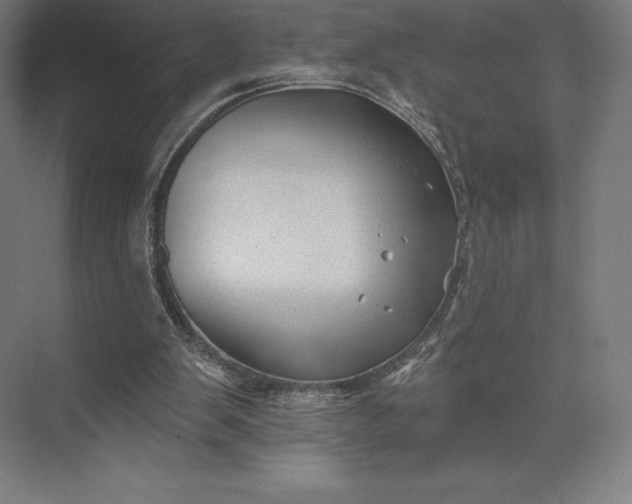 X0000074040103200609061218