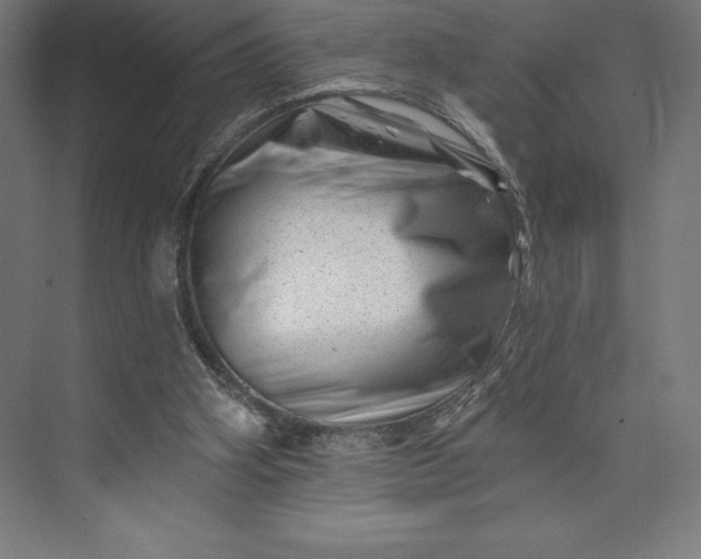 X0000074040106200609061218