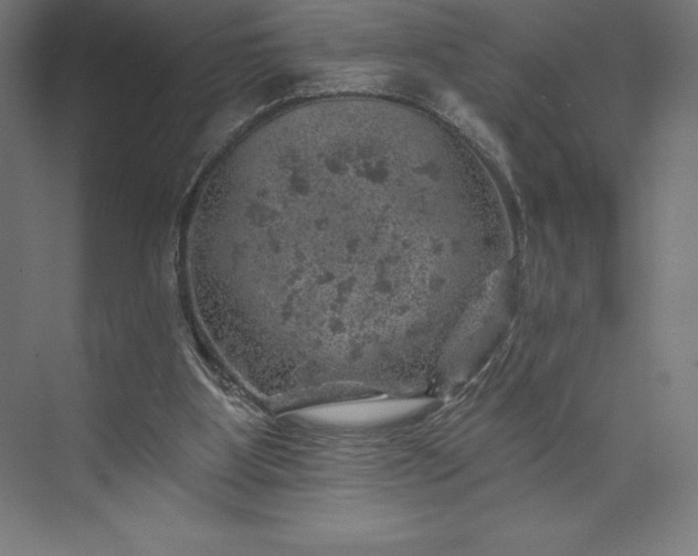 X0000074040107200609061218