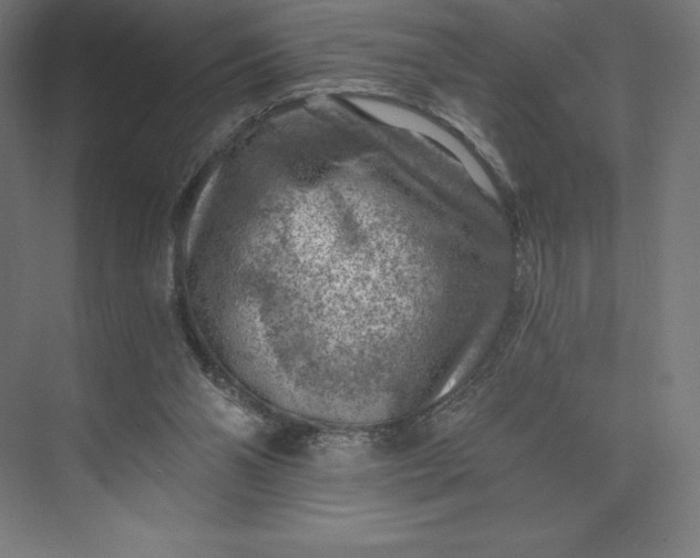 X0000074040110200609061218