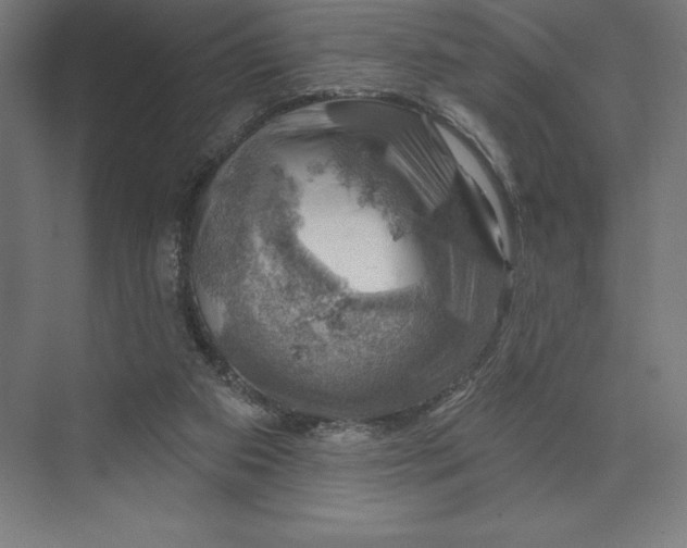 X0000074040113200609061218