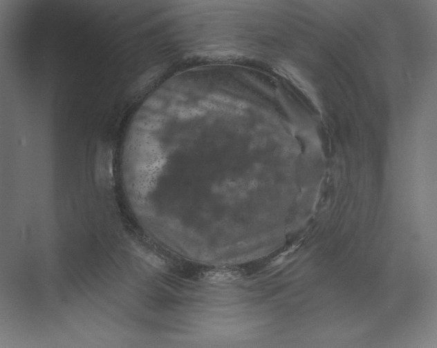 X0000074040115200609061218