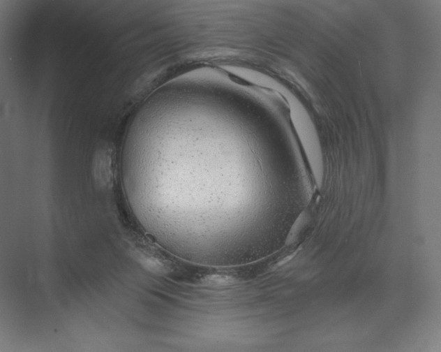 X0000074040119200609061218