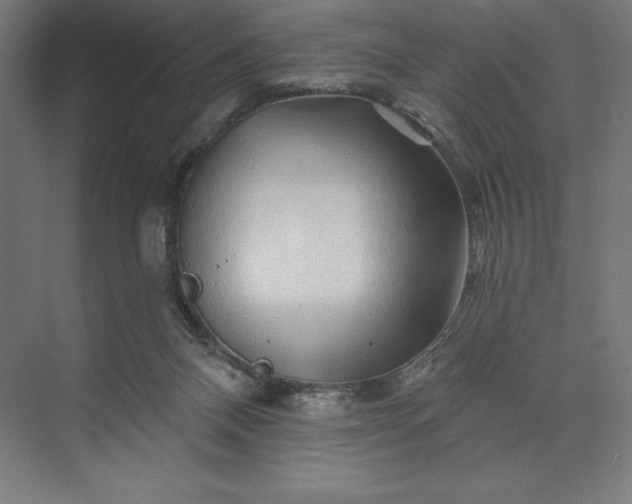 X0000074040120200609061218