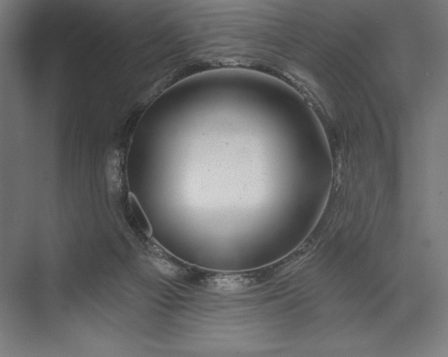 X0000074040121200609061218