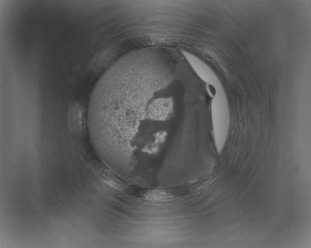 X0000074040123200609061218