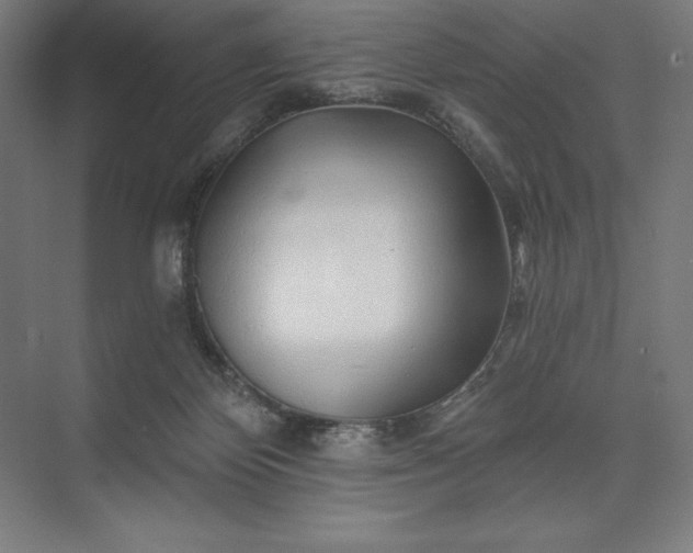 X0000074040124200609061218