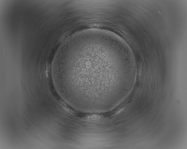 X0000074040125200609061217