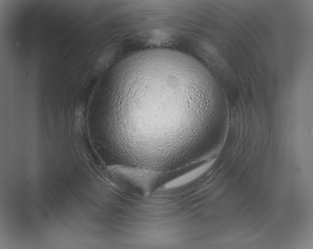 X0000074040127200609061217