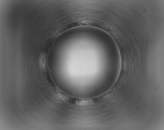 X0000074040129200609061217