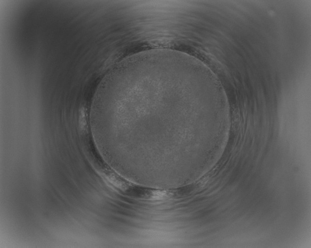 X0000074040130200609061217