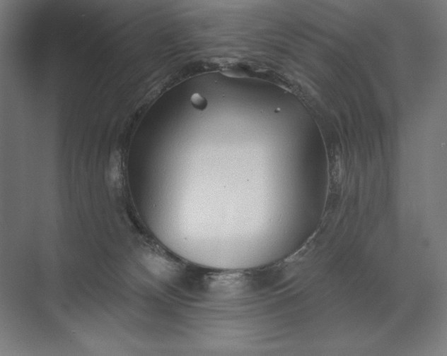 X0000074040132200609061217