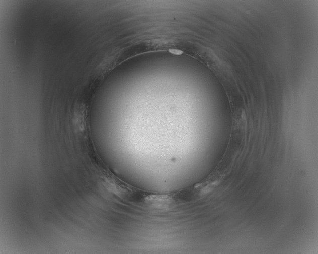 X0000074040133200609061217