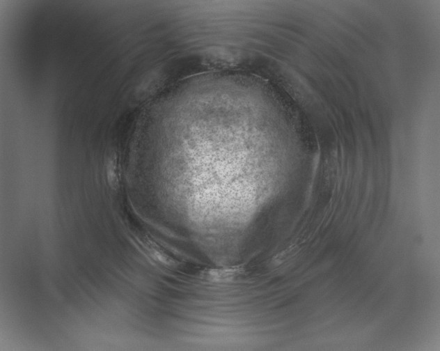 X0000074040134200609061217