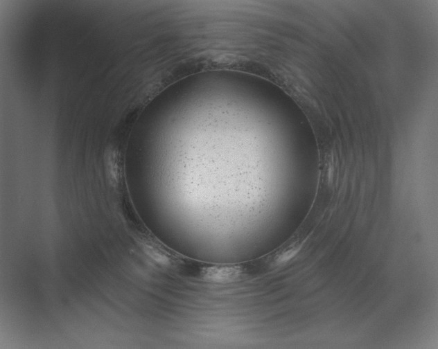 X0000074040135200609061217