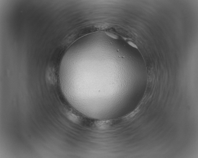 X0000074040136200609061217