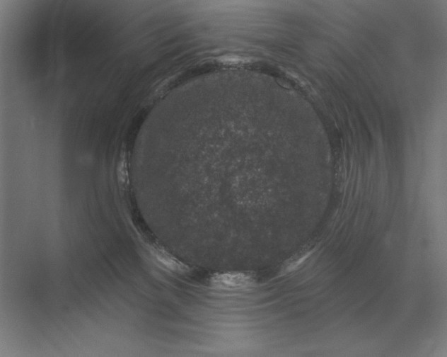 X0000074040137200609061217