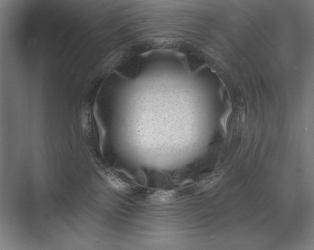 X0000074040138200609061217