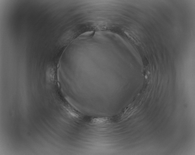 X0000074040139200609061217