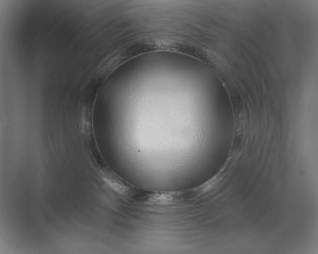 X0000074040140200609061217