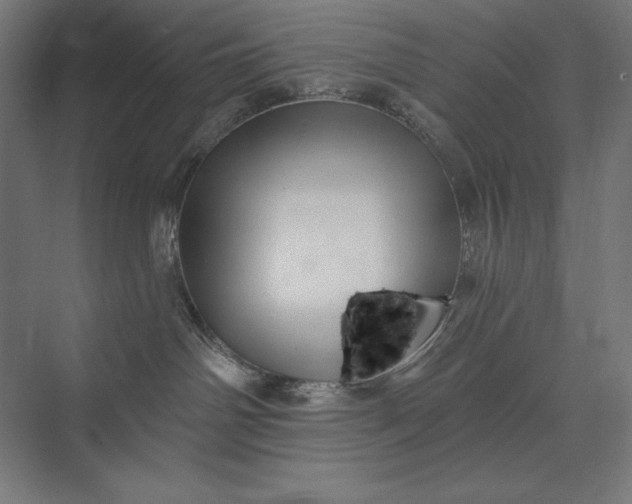 X0000074040142200609061217