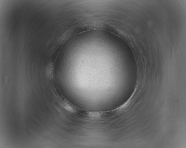 X0000074040144200609061217