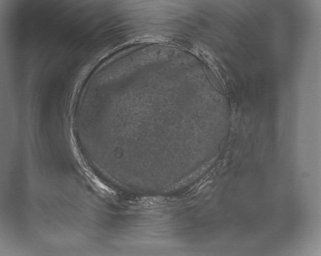 X0000074040145200609061216