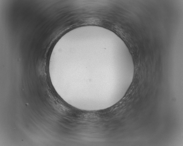 X0000074040146200609061216