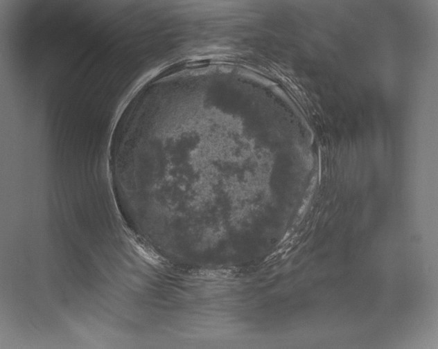 X0000074040147200609061216