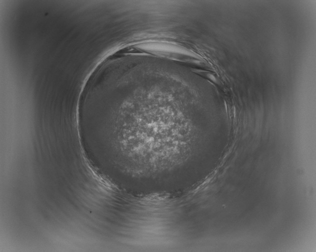 X0000074040148200609061216