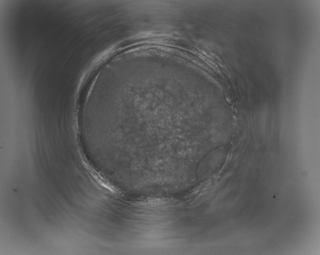 X0000074040149200609061216