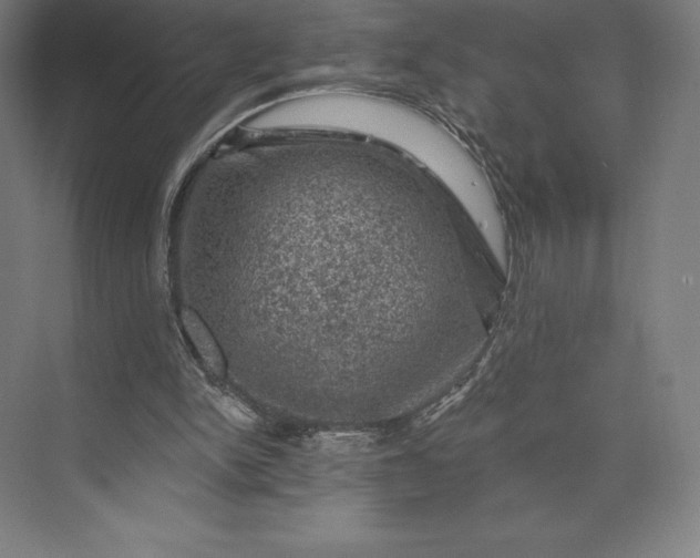 X0000074040150200609061216