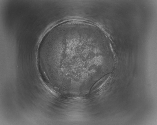 X0000074040151200609061216