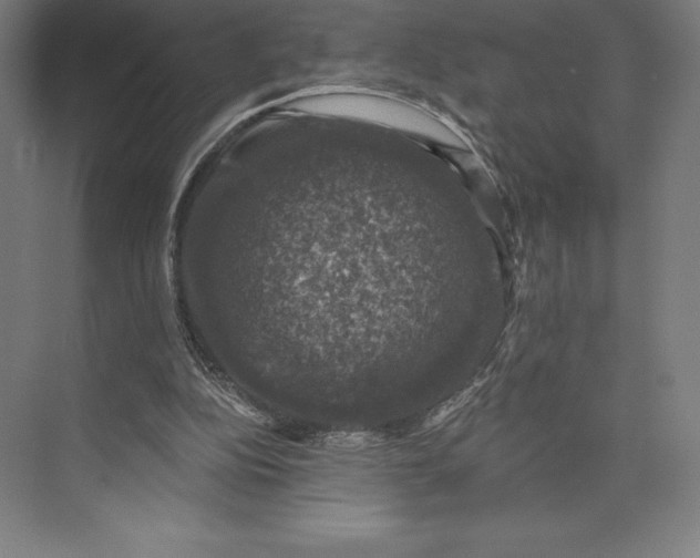 X0000074040152200609061216