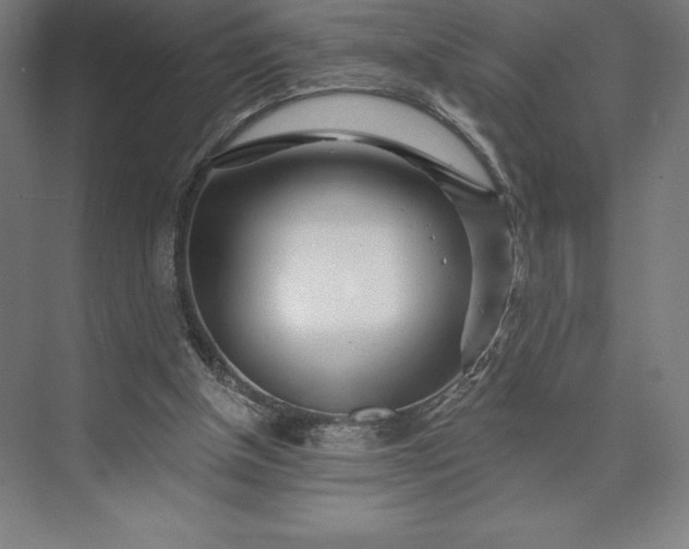 X0000074040154200609061216