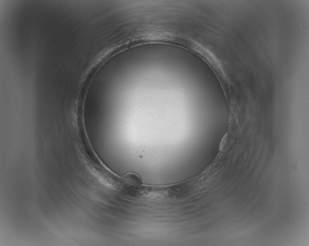 X0000074040155200609061217