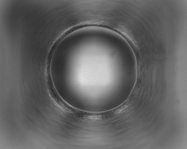 X0000074040156200609061217