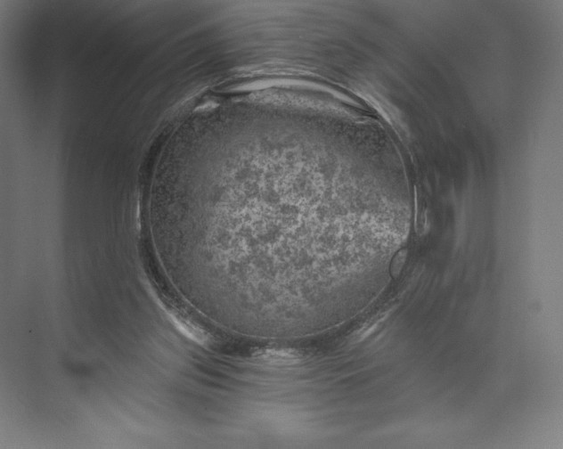 X0000074040157200609061217