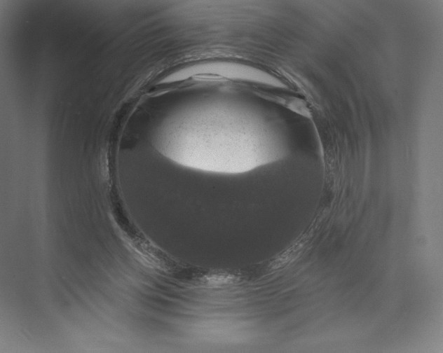 X0000074040158200609061217