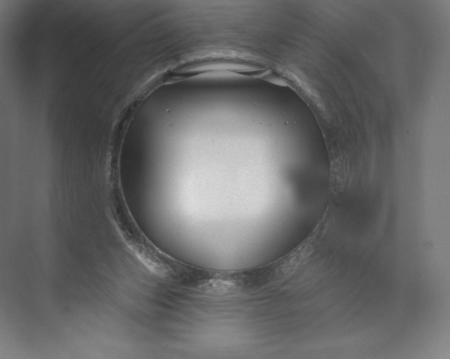 X0000074040159200609061217