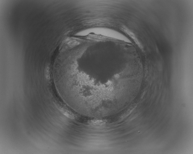 X0000074040161200609061217