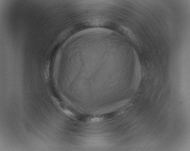 X0000074040163200609061217