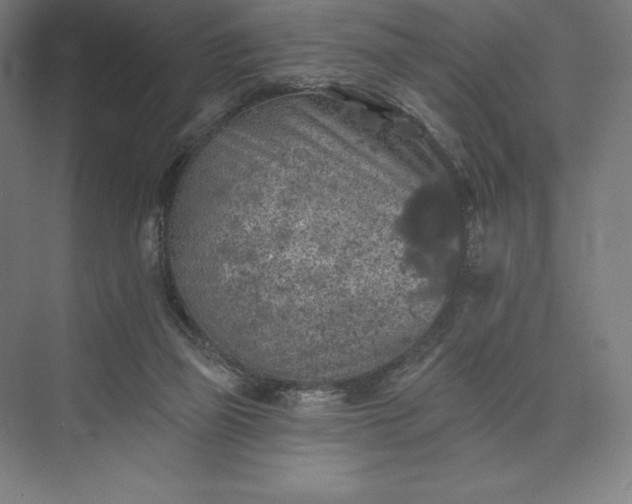 X0000074040165200609061217