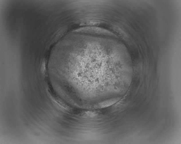 X0000074040166200609061217