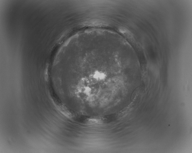 X0000074040167200609061217