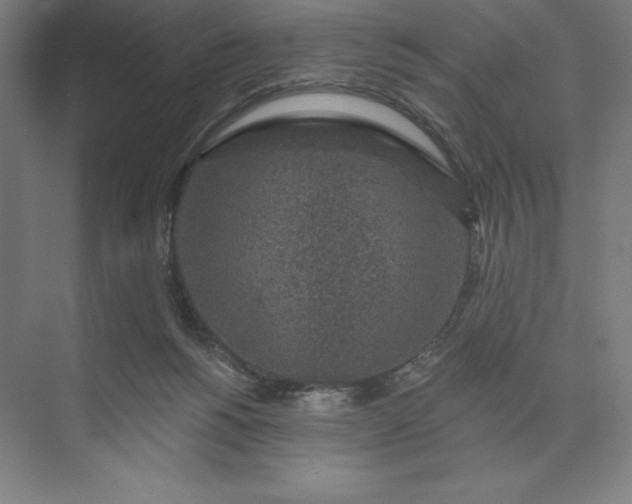 X0000074040168200609061217