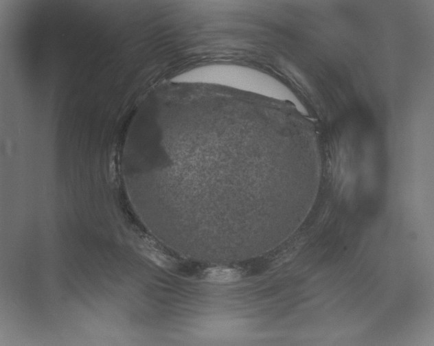 X0000074040169200609061217