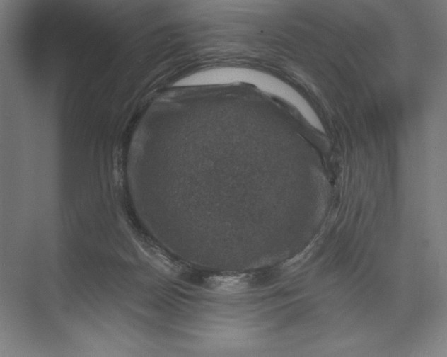 X0000074040170200609061217